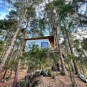 casa-colgada-can-lia.in-canary-islands.com/